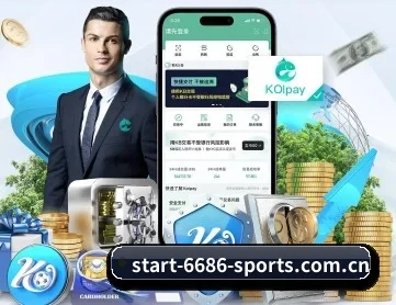6686体育 APP