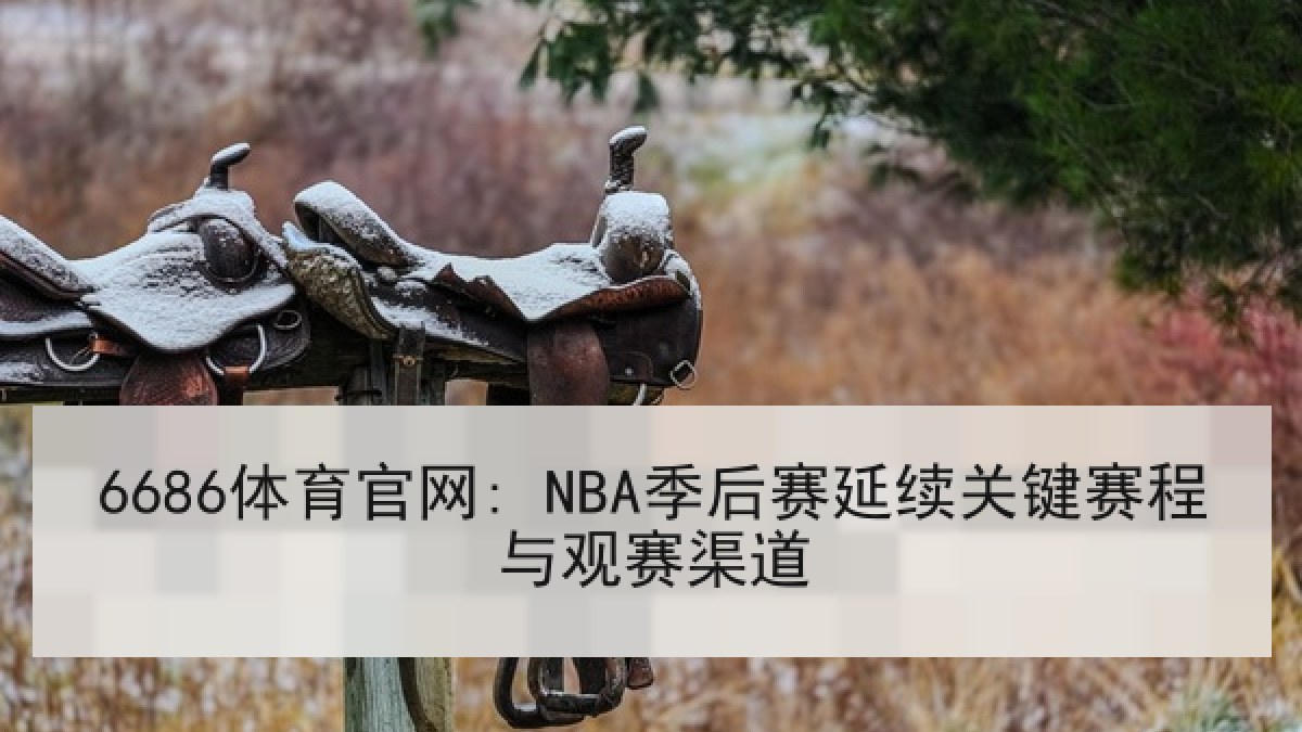 6686体育官网: NBA季后赛延续关键赛程与观赛渠道