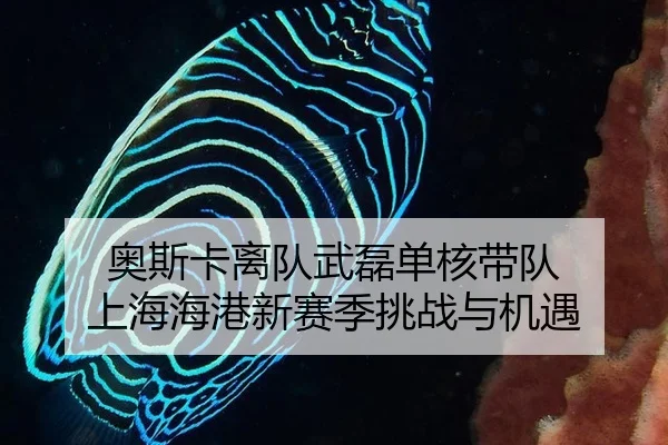 ao-si-ka-li-dui-wu-lei-dan-he-dai-dui-shang-hai-hai-gang-xin-sai-ji-tiao-zhan-yu-ji-yu-3-177.jpg