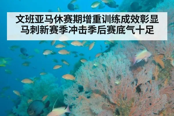 文班亚马休赛期增重训练成效彰显马刺新赛季冲击季后赛底气十足